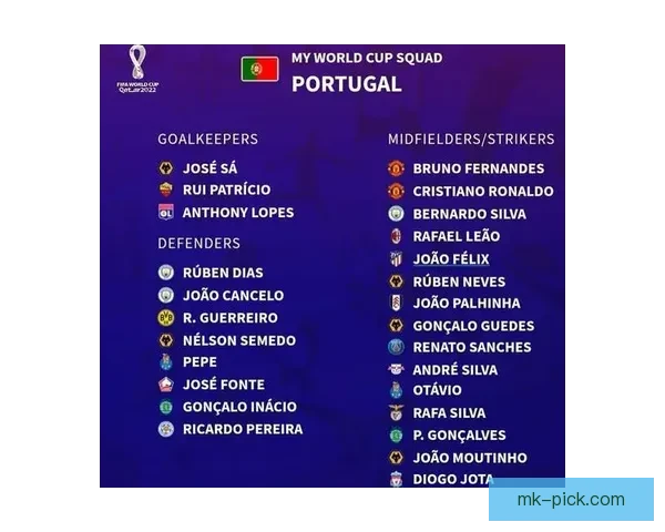 世界杯胜负预测大揭秘 揭示球队实力分析与赛果预测技巧